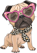(s133-27-1O) Cute Cartoon Pug Leopard Scarf Glasses