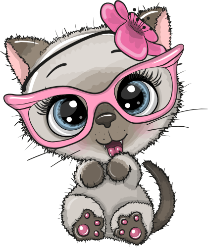 (s133-28-U) Cute Cartoon Cat Kitten Flower Headband Glasses