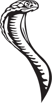 (s135-C) Viper Snake