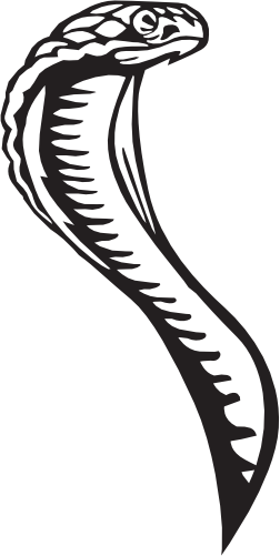 (s135-C) Viper Snake