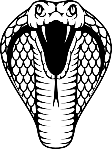 (s135-D) Snake Cobra