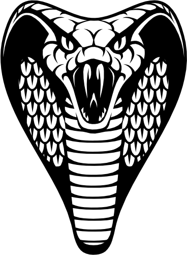 (s135-E) Snake Cobra