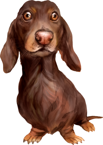 (s136-S)  Watercolor Dachsund