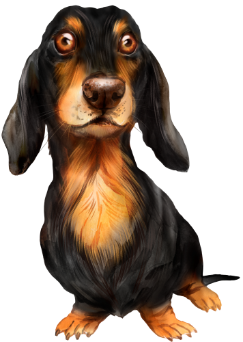 (s136-U)  Watercolor Dachsund