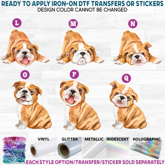 (s136) Watercolor English Bulldog Dog Printed Heat Transfer or Sticker