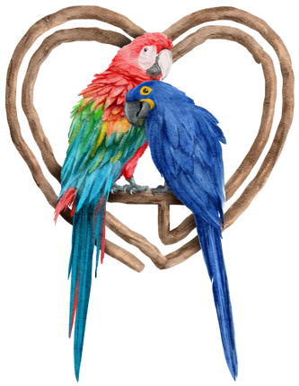 (s142-2E) Macaws