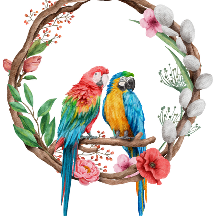 (s142-2G) Macaws