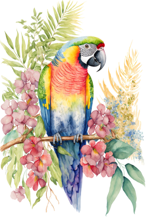(s142-2N) Baby Macaw Flowers
