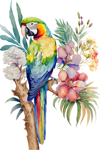 (s142-2P) Baby Macaw Flowers