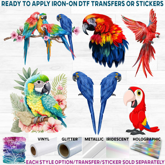 (s142) Watercolor Illustrated Cartoon Macaw Collection 37 Style Options