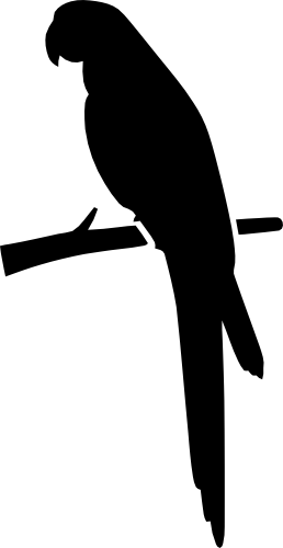 (s142-A) Parrot Bird Silhouette