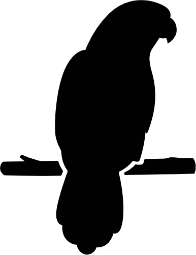 (s142-B) Parrot Bird Silhouette