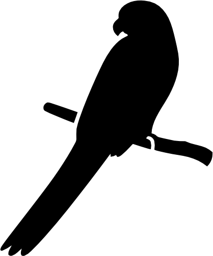 (s142-C) Parrot Bird Silhouette