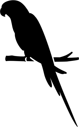 (s142-D) Parrot Bird Silhouette