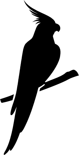 (s142-H) Cockatiel Bird Silhouette