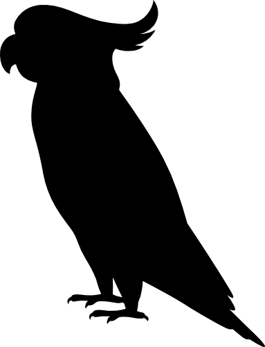 (s142-E) Parrot Bird Silhouette