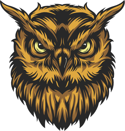 (s145-01-1E) Owl Mascot