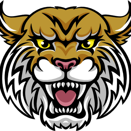 (145-1A-11) Wildcat Mascot