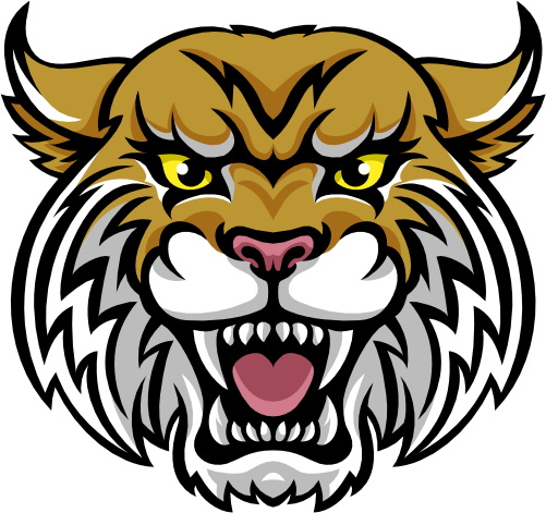 (145-1A-11) Wildcat Mascot