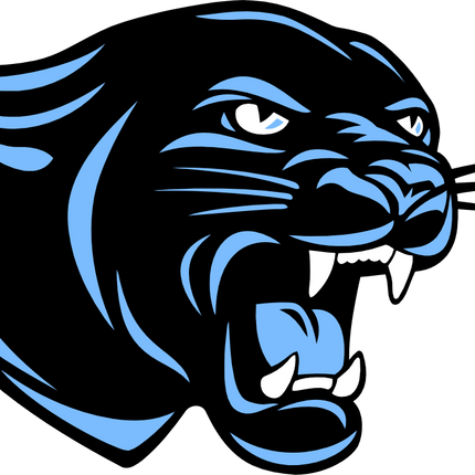 (145-1A-80-3) Panther Mascot