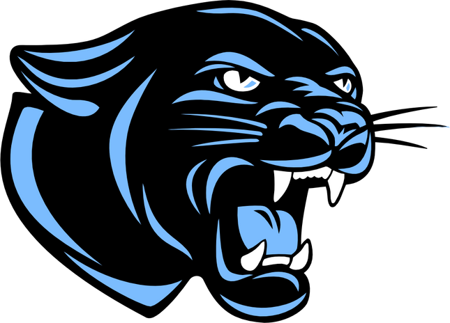 (145-1A-80-3) Panther Mascot