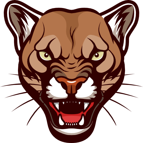 (145-1A-29) Cougar Mascot