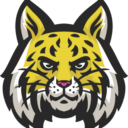 (145-1A-16) Wildcat Mascot