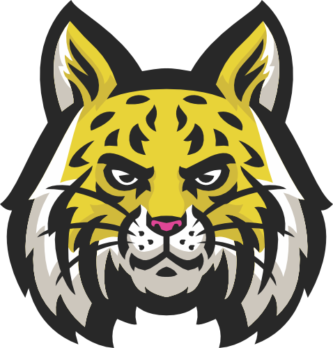(145-1A-16) Wildcat Mascot