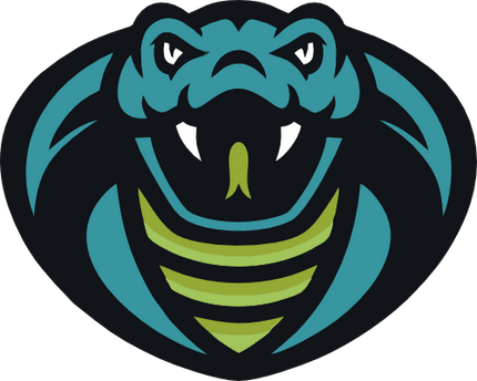 (145-1A-72-1) Snake Cobra Mascot