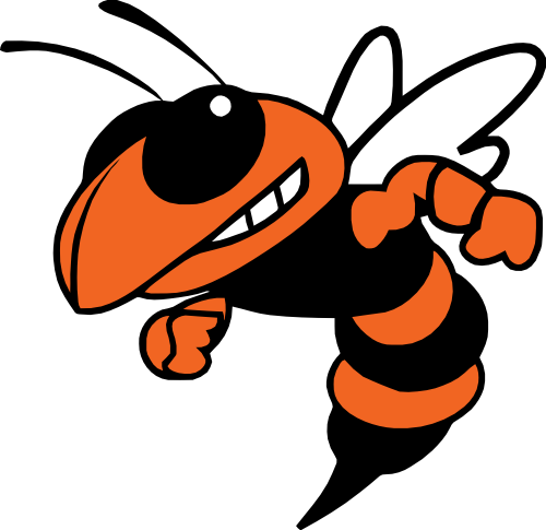 (s145-1-3X) Orange Yellowjacket Hornet Bee Mascot