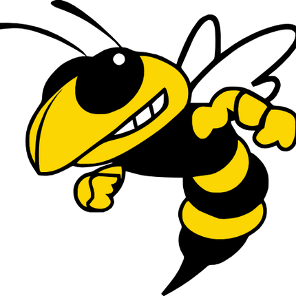 (145-1A-14-1) Yellowjacket Hornet Bee Mascot