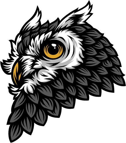 (s145-1-4D) Gray Owl Mascot