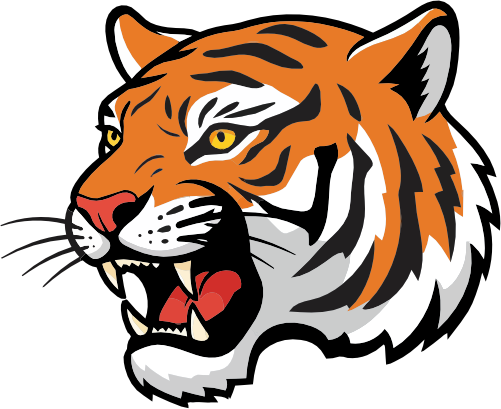 (145-1A-90) Tiger Mascot