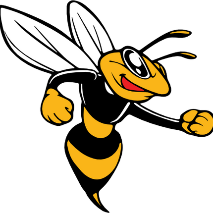 (145-1A-59-1) Yellowjacket Hornet Bee Mascot