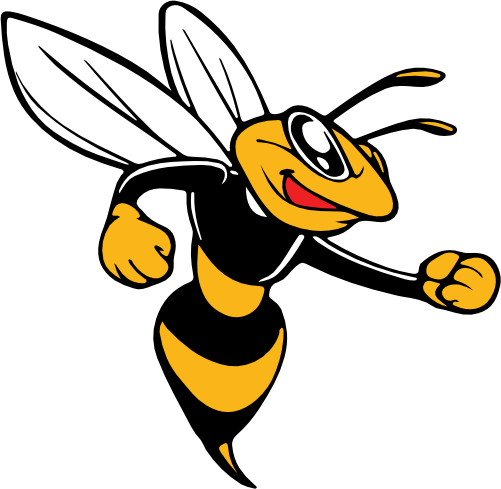 (s145-1-4M) Yellow Yellowjacket Hornet Bee Mascot