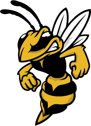 (145-1A-05) Hornet Yellow Jacket Mascot