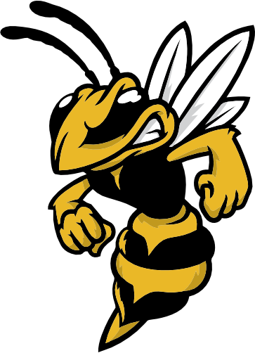 (145-1A-05) Hornet Yellow Jacket Mascot