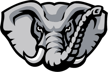 (145-1A-09) Elephant Mascot