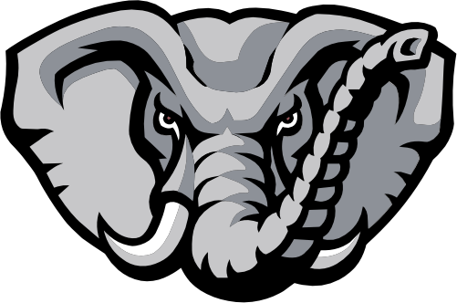 (145-1A-09) Elephant Mascot