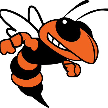 (145-1A-14-2) Orange Yellowjacket Hornet Bee Mascot