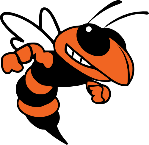 (145-1A-14-2) Orange Yellowjacket Hornet Bee Mascot