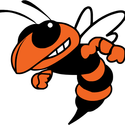 (145-1A-14-2) Orange Yellowjacket Hornet Bee Mascot