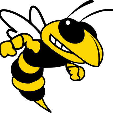 (145-1A-14-1) Yellowjacket Hornet Bee Mascot