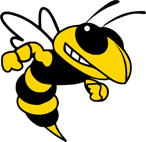 (145-1A-14-1) Yellowjacket Hornet Bee Mascot