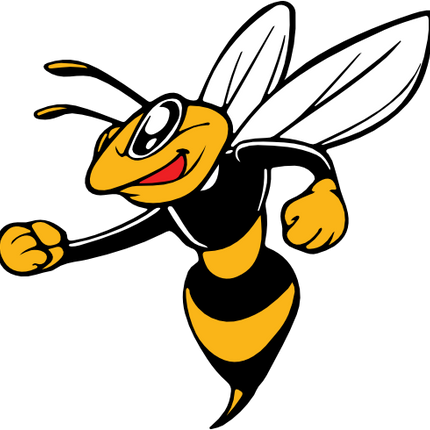 (145-1A-59-1) Yellowjacket Hornet Bee Mascot