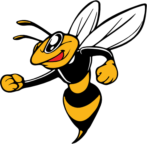 (145-1A-59-1) Yellowjacket Hornet Bee Mascot