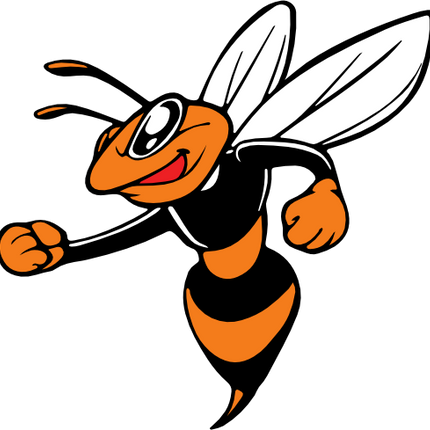 (145-1A-59-2) Orange Yellowjacket Hornet Bee Mascot