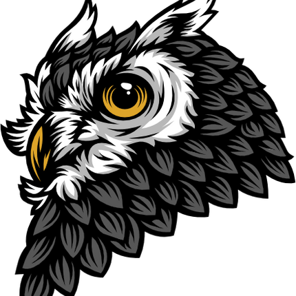 (145-1A-60) Gray Owl Mascot