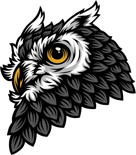 (145-1A-60) Gray Owl Mascot