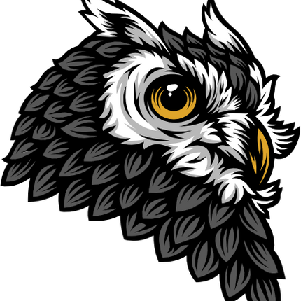 (145-1A-60) Gray Owl Mascot